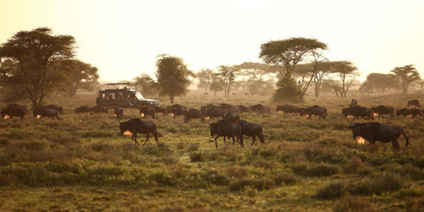Quênia Safari em família by andBeyond